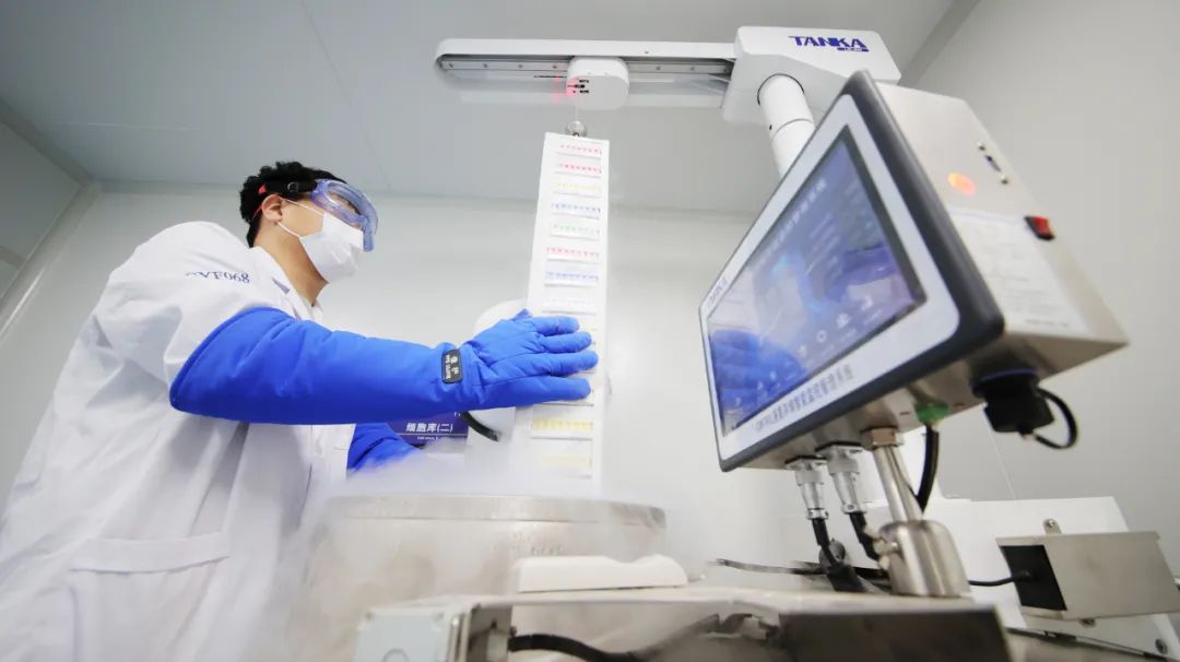 細胞儲存.jpeg 細胞儲存.jpeg